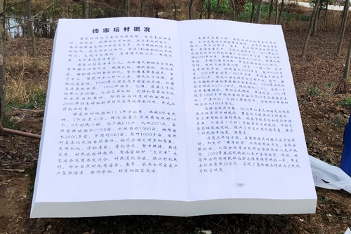 書本造型牌 \